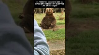 URSO DANDO TCHAU