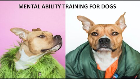 MENTAL ABILITY | BEHAVIOUR | TRAINING FOR DOGS