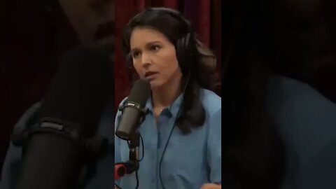 Tusli Gabbard is leaving the Democrat Party. Here's why.