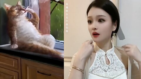 Funny dog & cat offended by cute girls.😲😲