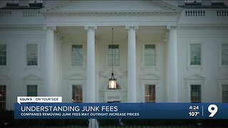 Understanding junk fees