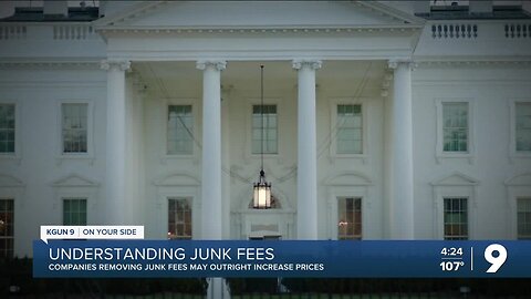 Understanding junk fees