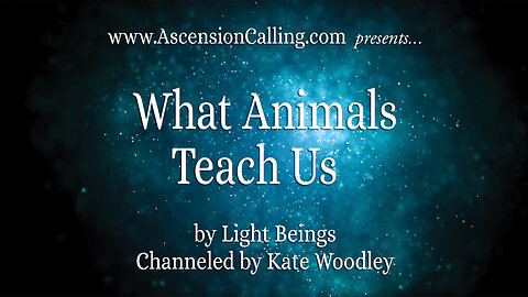 What Animals Teach Us