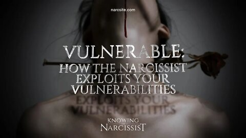 Vulnerable : How the Narcissist Exploits Your Vulnerabilities