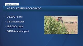 Agriculture brings $47B to Colorado's economy