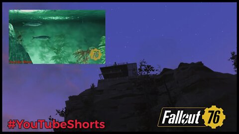 Fallout76 Store Update | Fish Tanks