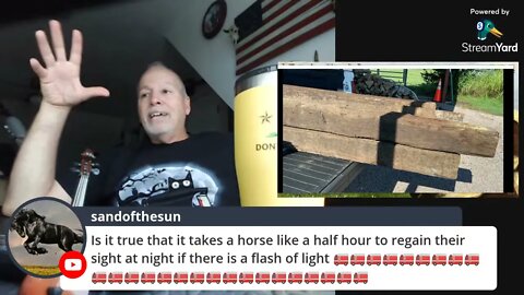 Happy Fourth America - Frisian Horses Barn Witch Comments & Kid Kicked By Horse