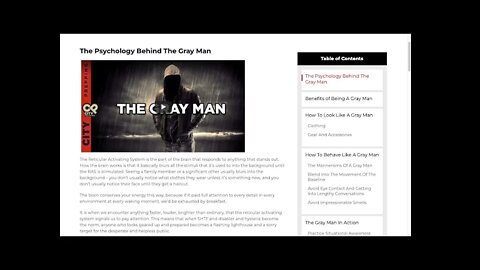 THE GREY MAN