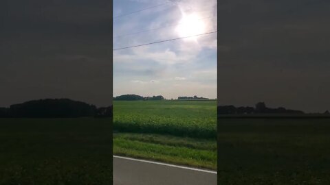 beautiful shot at dusk of a a soybean field