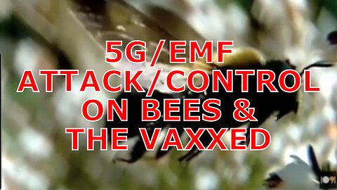 Bees and the Magnetite/Graphene-Vaxxed Are Vulnerable to 5G/EMF Attack/Control by the NWO Cabal !!!