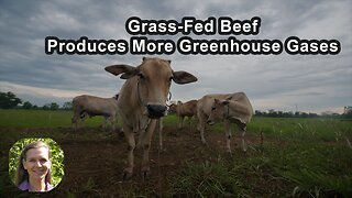 Grass-Fed Beef Can Actually Produce More Greenhouse Gases