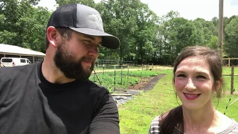 3 Things We’ve Learned about Cattle on the Homestead And BLOOPERS at the End | With Walker Farm Fam