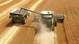 Farming Machines Work In Harmony To Harvest Crops