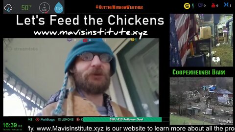 Flooding, Mud and Wuflu : Let's Feed the Chickens : Ep:47