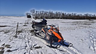 Herding Through the Snow Drifts