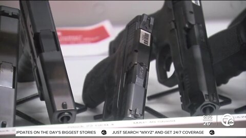 Michigan students fighting for gun storage laws, more mental health experts in schools