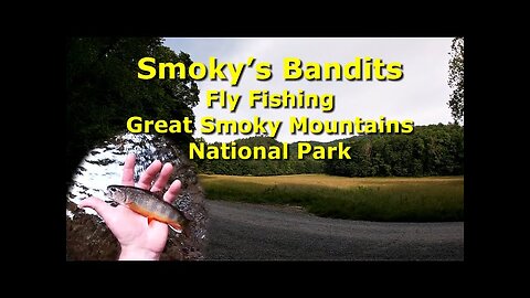 Smoky's Bandits - Fly Fishing the Great Smoky Mountain National Park for Trout