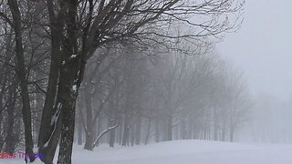 Storm Winter Snow Blizzard And Wind Sound