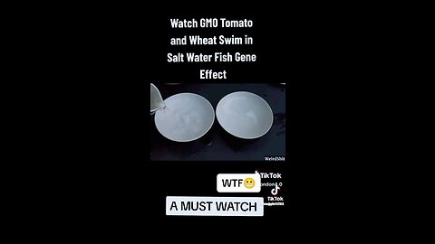 GMO Tomato and Wheat Swim in Salt Water Fish Gene Effect?