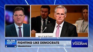 Fighting Like Democrats