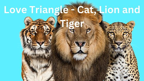 Love Triangle - Cat, Lion and Tiger