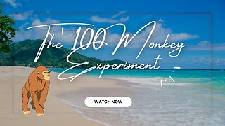 The 100 Monkey Experiment