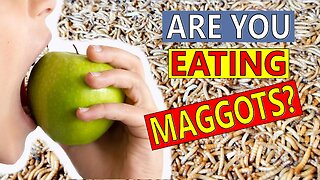 MOST People Eat Maggots. Are YOU one of them?