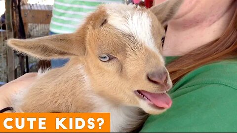 Cutest Baby Goat Compilation Ever! | Funny Pet Videos