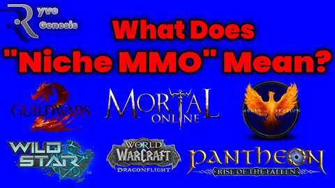 What does "Niche MMO" mean?