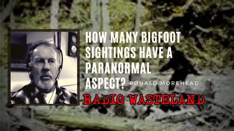 How Many Bigfoot Sightings Have a Paranormal Aspect?