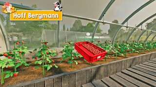 FS19 | FS22 y COSECHO los INVERNADEROS | HOF BERGMANN 1.0.0.81 ESPAÑOL | Farming Simulator