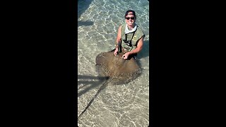 FISHING GIANT SHARKS & STINGRAYS!