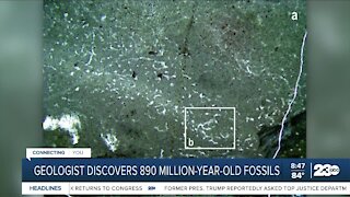 Geologist discovers 890 million-year-old fossil