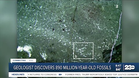 Geologist discovers 890 million-year-old fossil