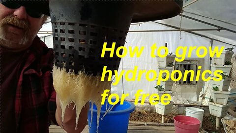 Can you grow hydroponics virtually free, Compost tea in hydroponics, can goats grow a garden