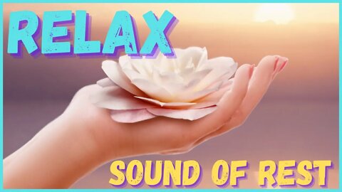 Sound of relaxation! Immediate peace! Relax, sleep, rest, pray, meditate, study!