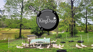 Cooking With The King Dude-Your Duck Is Cooked