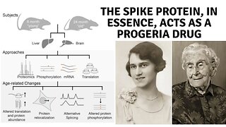 The Spike Protein, in Essence, Acts as a Progeria Drug - Old age fast