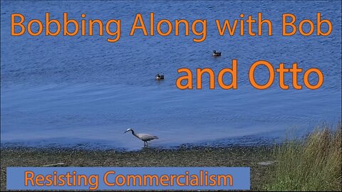 Bobbing Along with Otto: Resisting Commercialism