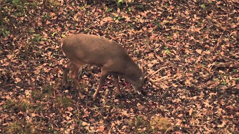 "Sacred Ground" - Heartland Bowhunter