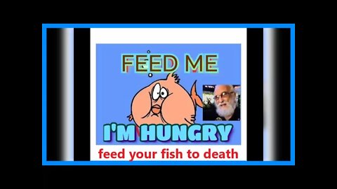 A HUNGRY FISH IS A HEALTHY FISH