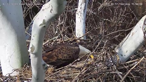 USS Eagles - Mom moves The Annoying Stick!