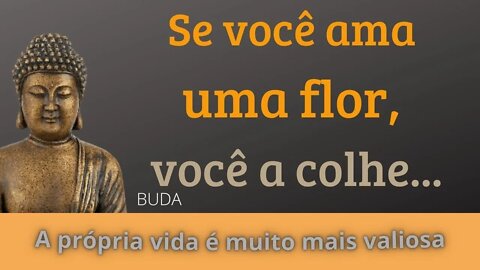 Frases de Buda,Citações de Buda,Melhores Citações,Frases e Citações,Frases e Ctações de Buda,