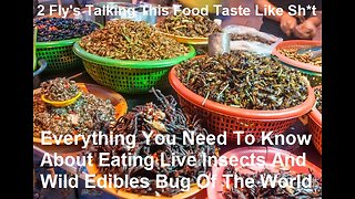 Everything You Need To Know About Eating Live Insects Wild Edibles Of The World