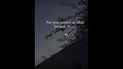 Islamic Videos