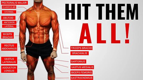 The Best Science-Based Full Body Workout for Growth (WORKOUT “A”)