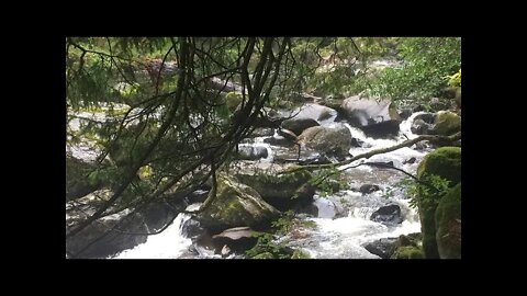 Waterfalls and trees of the Hermitage