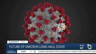 Experts explain the possibility of Omicron long-haul COVID