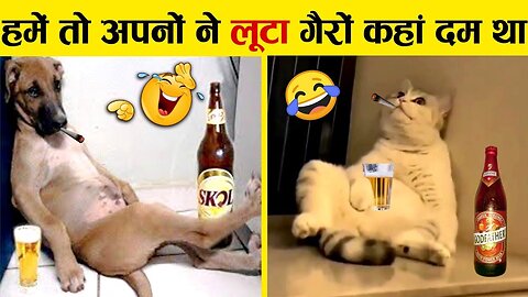 इन जानवरों से पंगा ना बाबा ना 🤣😜.... Funny Animals Video 2022 (Part-2)