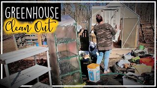 What's In My Greenhouse?//Prepping for Spring//Clean With Me